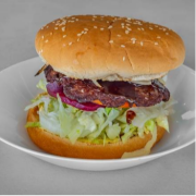 Plain Hamburger